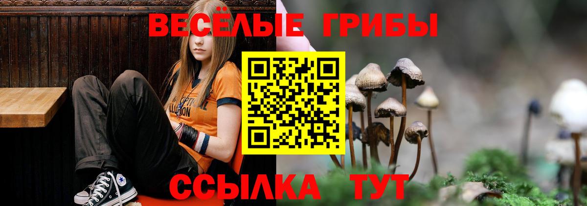 Галлюциногенные грибы мухоморы Красноуфимск